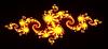 A Julia Set unfurling on a black background