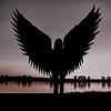 an angel in the dark