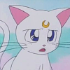 my icon is a picture of artemis from sailor moon looking cute and pouty : )