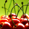 stock icon of cherries against a green background