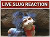 Live slug reaction: labyrinth