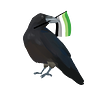 A drawing of a Crow holding an aromantic flag in their beak.