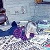 Blonde little girl lying on the floor reading.
