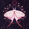 a vibrant pink moth beneath a new moon and surrounded by roses