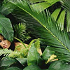 "adventure" by tracey moffatt