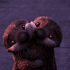 animated gif of two otters from Finding Dory hugging